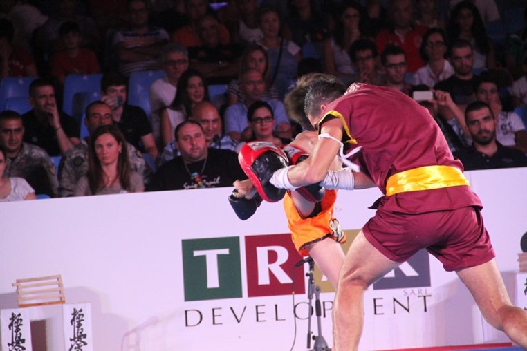 Martial Arts Festival